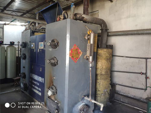 從生物質(zhì)到傳統(tǒng)鍋爐再到蒸汽源，一位洗滌廠老板的心聲